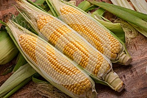 Ripe corn heads with corn whiskers and leaves