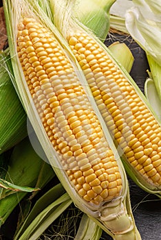 Ripe corn heads with corn whiskers and leaves