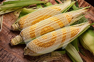 Ripe corn heads with corn whiskers and leaves