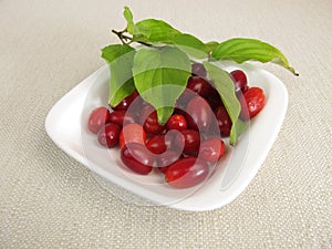 Ripe cornelian cherries