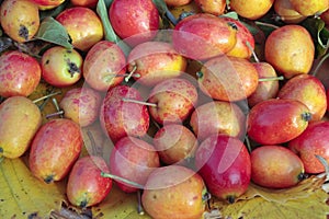 Ripe crab apples