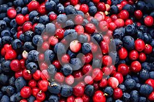 Ripe cranberries and blueberries close-up. Natural background