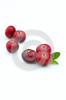 Ripe cranberry