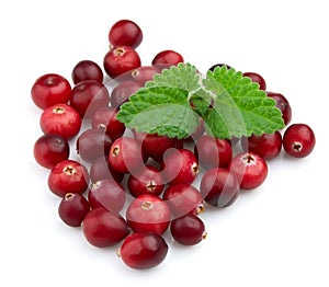 Ripe cranberry with a mint