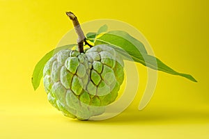 Ripe Custard Apple on Yellow Background
