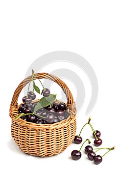 Ripe dark juicy cherries with leaves in a basket on a white background