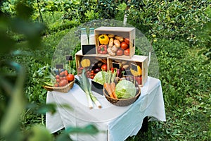 ripe delicious ecological vegetables in boxes