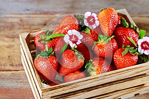 Ripe delicious strawberries in a wooden box