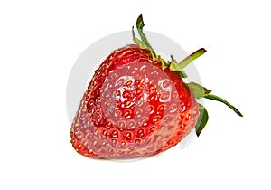 Ripe delicious strawberry isolated on white background