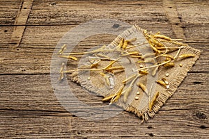 Ripe dry soybeans in pods. Cultivated organic agricultural crop, traditional healthy ingredient in oriental culture. Vintage