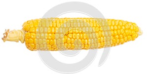 Ripe ear of corn isolated on a white background.