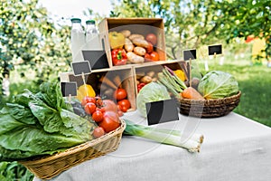 ripe ecological vegetables in boxes