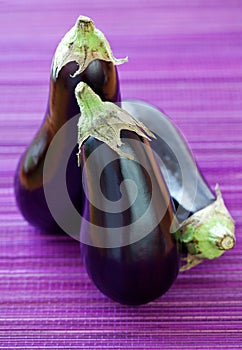 Ripe eggplant photo