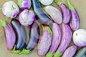 Ripe eggplants