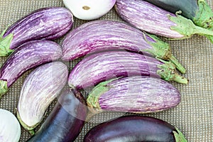 Ripe eggplants