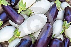 Ripe eggplants