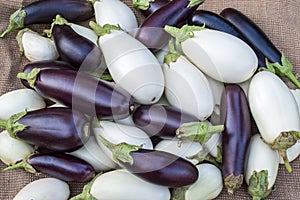 Ripe eggplants