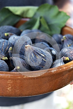 Ripe figs in a rustic earthenware bowl