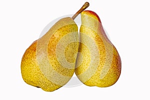 ripe forelle pears, isolated on white background