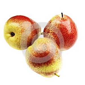 Ripe Forelle Pears