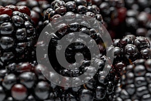 Ripe fresh blackberries, an abstract background of blackberries. Top view. Close-up. Macro. Blackberry berries with water drops