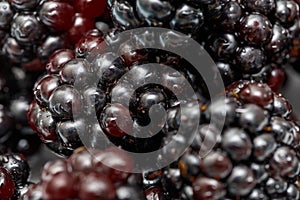 Ripe fresh blackberries, an abstract background of blackberries. Top view. Close-up. Macro. Blackberry berries with water drops