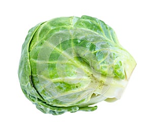Ripe fresh brussels sprout cut out on white