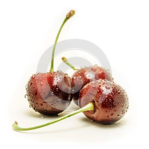 Wet ripe fresh cherries isolated on white background.