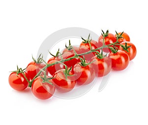 Ripe fresh cherry tomatoes on branch isolated on white background.