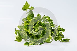 Ripe fresh green bunch of parsley, shiny ingredient on white background