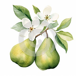 Pear with Leaf and Bloom Isolated on White Background. Watercolour illustration. Generative AI.