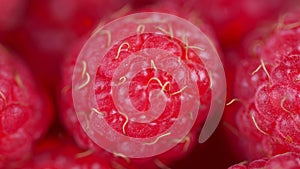 Ripe fresh and juicy raspberries rotated close-up. Raspberries are spinning in close-up.