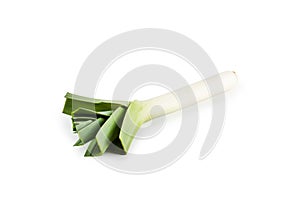 Ripe fresh leek isolated