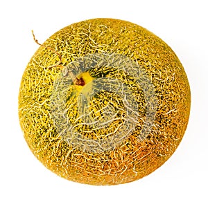 Ripe fresh melon on a white isolated background. Close-up.