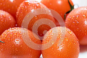 Ripe fresh orange tomatoes close up macro shot. Wet tomatoes with water droplets.