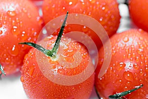 Ripe fresh orange tomatoes close up macro shot. Wet tomatoes with water droplets.