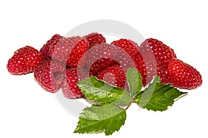 Ripe fresh raspberries