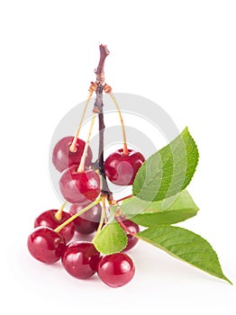 Ripe fresh red cherry isolated on white background