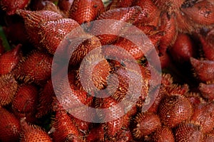 Ripe and Fresh Snakefruit in the Morning Market