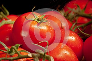 Ripe fresh tomato with stem and many red tomatoes in background close-up