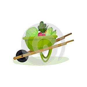 Ripe and fresh vegetables in green garden cart. Metal wheelbarrow with wooden handles and one wheel. Natural food. Flat