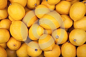 Ripe fresh yellow lemons, colorful background