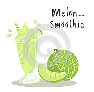 Ripe freshy melon vector on white color background.