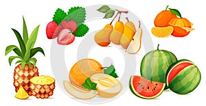 Ripe fruit composition or composing. Vector set