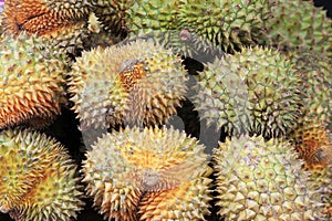 Ripe fruit of durian