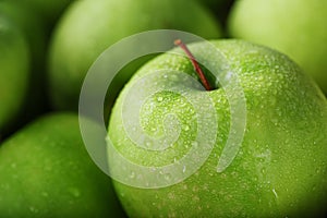 Ripe fruit of a green apple in close-up with dew drops.