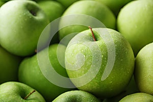 Ripe fruit of a green apple in close-up with dew drops.