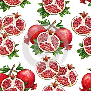 Ripe fruit of red pomegranate on a branch is isolated on a white background. Watercolor illustration of pomegranate and green