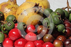 Wild fruits collection for diate plne. Fresh healthy fruits