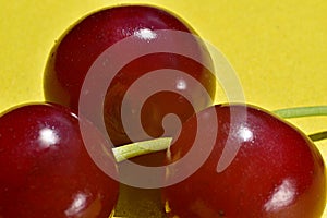 The fruits of ripe cherries photo
